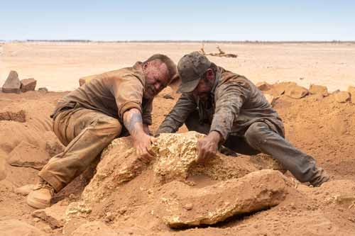 5 فیلم برتر راز آلود 2022 | مدیا زبان