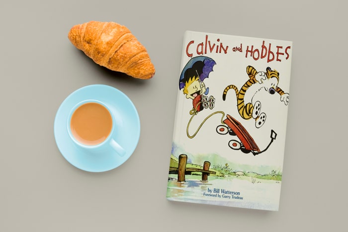 کتاب مصور انگلیسی | 4 کتاب تصویری مفید برای کودکان | مدیا زبان