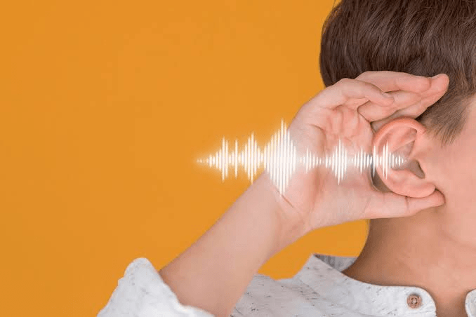 حافظه شنیداری چیست؟ | مدیا زبان