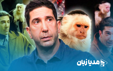 حسادت دیوید شویمر به میمون همبازی‌اش در سریال فرندز به روایت مربی