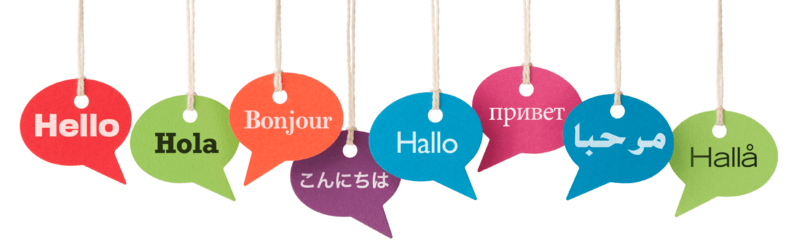 تاثیر یادگیری زبان خارجی بر هوش | مدیا زبان