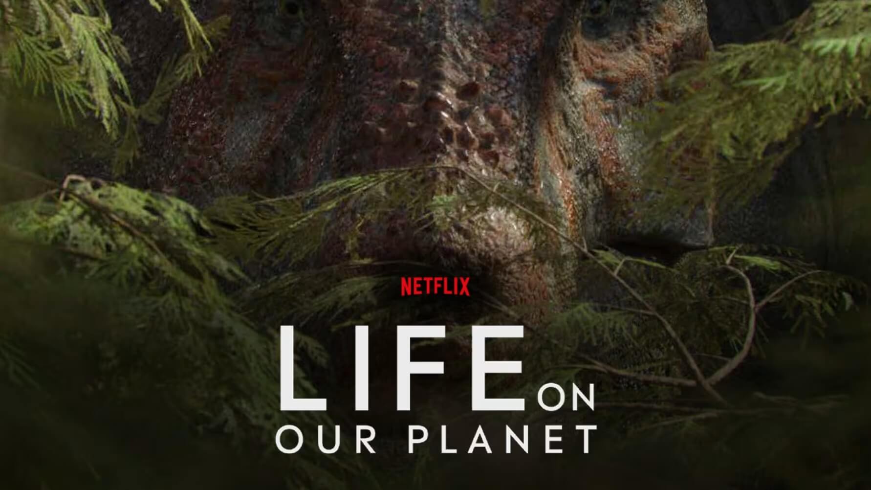 سریال سیاه ما | مدیا زبان