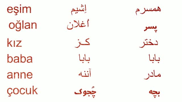 زبان ترکی یکی از سخت‌ترین زبان‌های دنیا | مدیا زبان